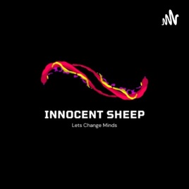 Innocent Sheep