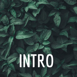 INTRO