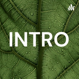 INTRO