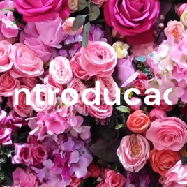 Introducao