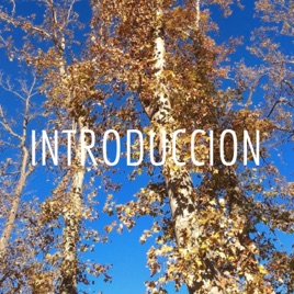 INTRODUCCION