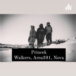 Introducing Princek