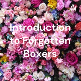 Introduction to Forgotten Boxers