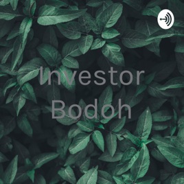 Investor Bodoh
