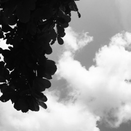Invisible thoughts