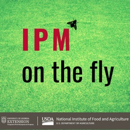 IPM On The Fly