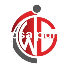 Ipsa puri