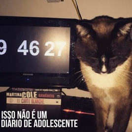 Isso NÃO É um Diário de Adolescente