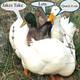 Jakes Take