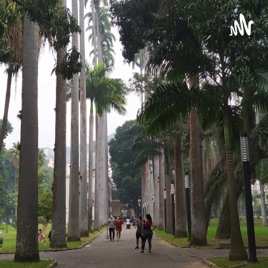 Jardim Do Palácio Do Catete