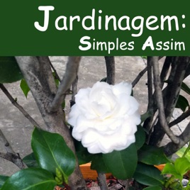 Jardinagem Simples Assim