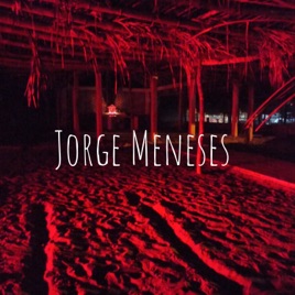 Jorge Meneses Antropólogo Digital