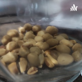 Kacang Kuningg