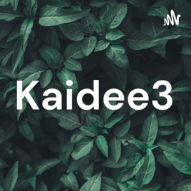 Kaidee3