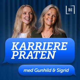 Karrierepraten
