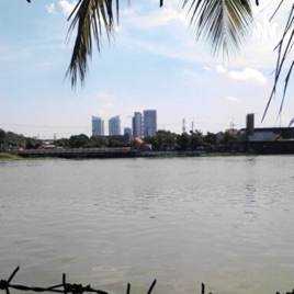 Kayu Senja