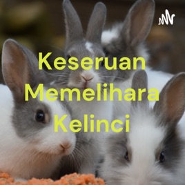 Keseruan Memelihara Kelinci