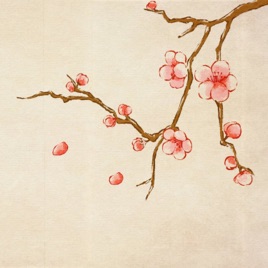 Kiến thức tâm linh và đời sống | Tâm Linh Toàn Thư