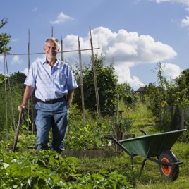 Kleiner Tipp - der Gartenpodcast des Sächsischen Landesamtes für Umwelt, Landwirtschaft und Geologie