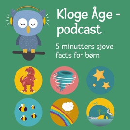 Kloge Åge