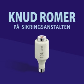 Knud Romer på Sikringsanstalten