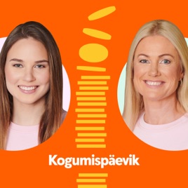 Kogumispäevik
