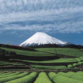 Konichiwa – der Japan Podcast mit Sven Meyer und Andy Janz