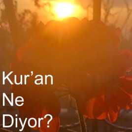 Kuran Ne Diyor?