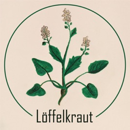 Löffelkraut
