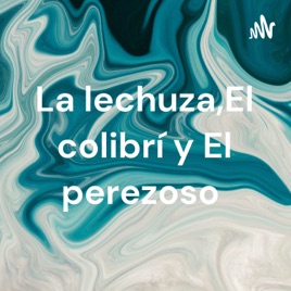 La lechuza,El colibrí y El perezoso