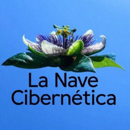 La Nave Cibernética