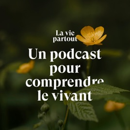 La vie partout
