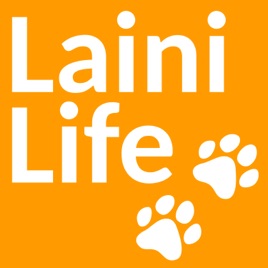 LainiLife - Алена Артамонова