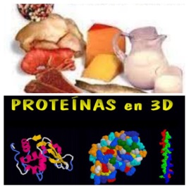 LAS PROTEÍNAS COMO MACROMOLÉCULA