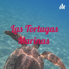 Las Tortugas Marinas