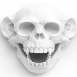 Laughingmonkeymusic