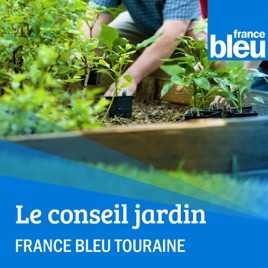 Le conseil jardin de FB Touraine