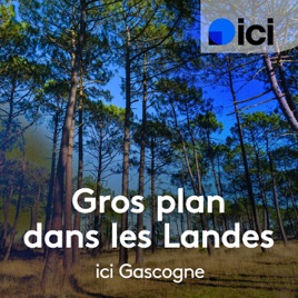 Le gros plan dans les Landes