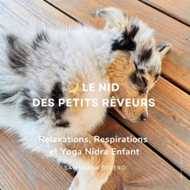 🌙 Le Nid des Petits Rêveurs – Relaxations, Respirations et Yoga Nidra Enfant