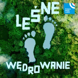 Leśne wędrowanie w Radiu Lublin
