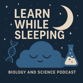 Learn While Sleeping