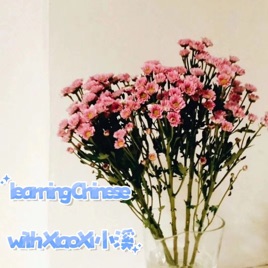 learning Chinese with 小溪