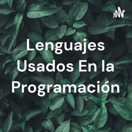 Lenguajes Usados En la Programación