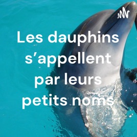 Les dauphins s'appellent par leurs petits noms