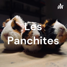 Les Panchites