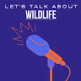 Let’s Talk About Wildlife!!!