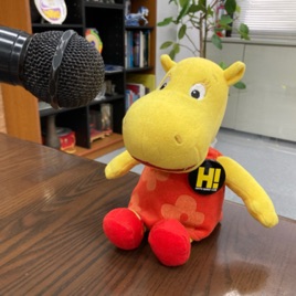LEX/Hippo akkun