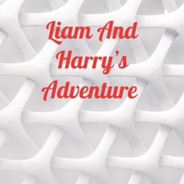 Liam And Harry's Adventure