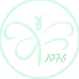 Libelula 1975