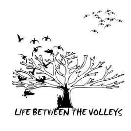 Life Between the Volleys